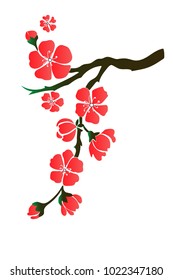 cherry blossom branch
