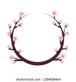 cherry blossom branch
