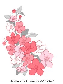 Cherry blossom branch