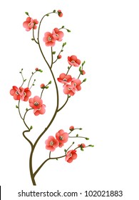 cherry blossom branch abstract background