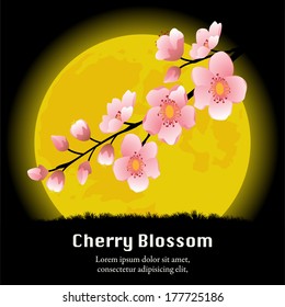 Cherry Blossom branch background.