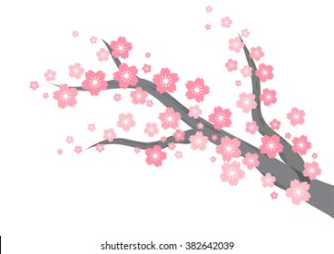 cherry blossom branch background