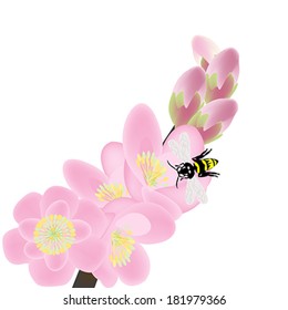 Cherry blossom branch with bees, spring composition