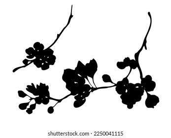 Cherry blossom branch black silhouette on white background. Hand drawn spring blooming tree branch vector design element.