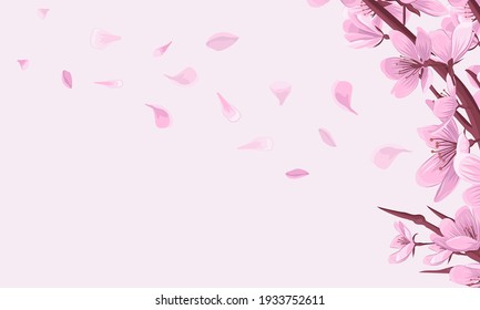 Cherry blossom branch with fallen petals pink vector background. Spring asian background with blooming sakura.