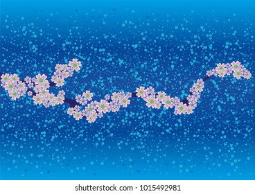 Cherry blossom branch with falling petals on a blue background
