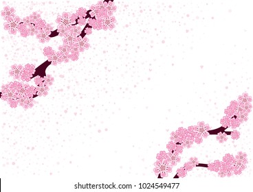 Cherry blossom branch with falling petals isolated on white