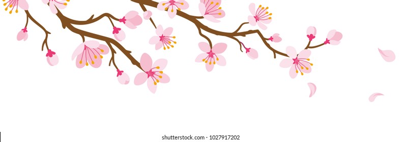 Cherry blossom Branch and Falling Petals