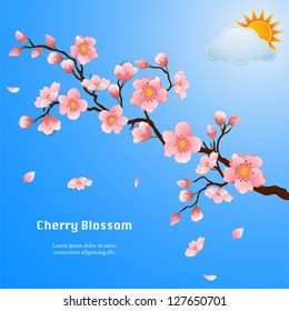 Cherry blossom branch with falling petals on a clear sky. Vector