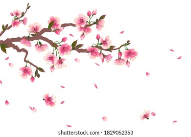 Spring Flowers Arched Frame Cherry Blossoms Stock Vector (Royalty Free ...