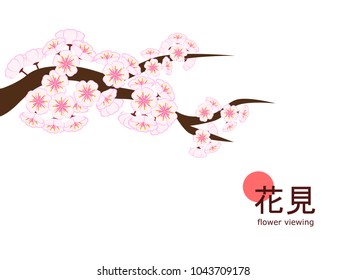 Cherry blossom branch in flat style on 4 : 3 white background, made to celebrate 2018 Hanami (Japanese flower viewing) tradition
