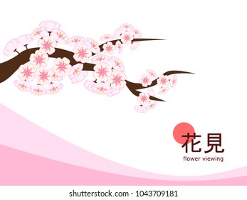 Cherry blossom branch in flat style on 4 : 3 white background with pink accent, made to celebrate 2018 Hanami (Japanese flower viewing) tradition