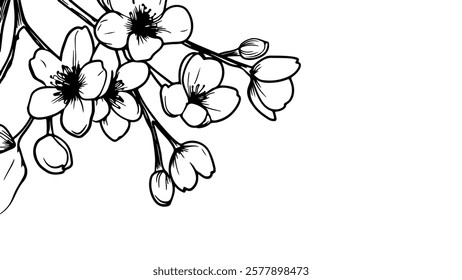 Cherry blossom branch flowers. Blooming flowers buds. Wedding invitations greeting cards. Line art black ink drawing vector illustration