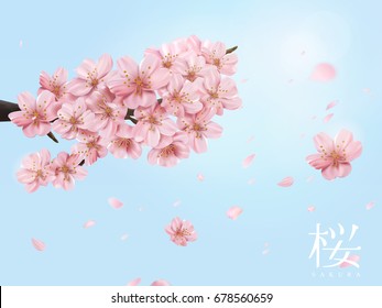 Cherry blossom branch and flying flowers isolated on shiny blue sky in 3d illustration, cherry blossom in Japanese word on the right side