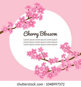 cherry blossom branch frame