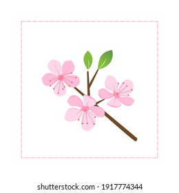 Cherry blossom branch with green leaves on white background vector illustration. Sakura Japanese flower.