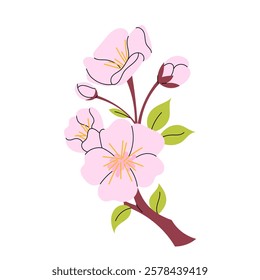 Cherry blossom branch. Hanami. Sakura flowers. Vector botanical element. Blooming spring tree in flat style on white background.