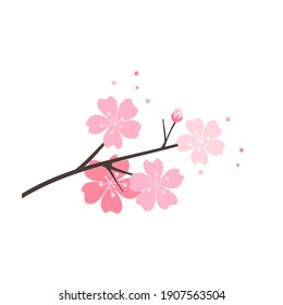 Cherry blossom branch icon on white background vector illustration. 