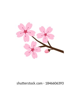 Cherry blossom branch icon sign isolated on white background vector illustration.