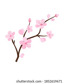Cherry blossom branch icon symbol isolated on white background vector illustration. Sakura Japanese flower. - Shutterstock ID 1852619671