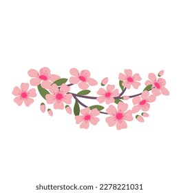 Cherry blossom branch. Illustrated vector element.