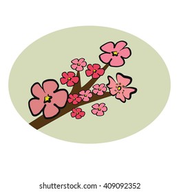 Cherry Blossom branch  illustration vector with pink petals flower on circle isolated on white background