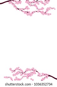 Cherry blossom branch isolated on white
