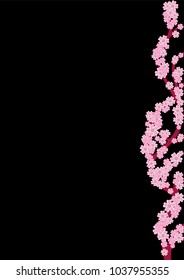 Cherry blossom branch isolated on black
