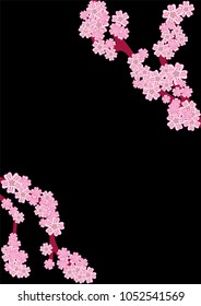 Cherry blossom branch isolated on black