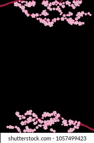Cherry blossom branch isolated on black