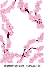 Cherry blossom branch isolated on white