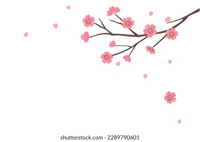 Cherry blossom branch isolated on white background vector illustration.