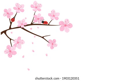 Cherry Blossom Branch And Ladybug Icon Isolated On White Background Vector Illustration. Cute Spring Wallpaper.