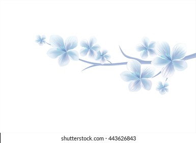 Cherry blossom branch with light Blue flowers isolated on white.. Vector