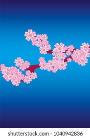 Cherry blossom branch on navy blue background
