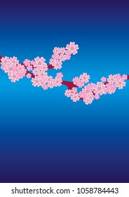 Cherry blossom branch on navy blue background