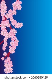 Cherry blossom branch on navy blue background