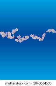 Cherry blossom branch on turquoise background