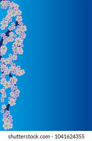 Cherry blossom branch on turquoise background