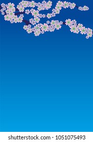 Cherry blossom branch on turquoise background