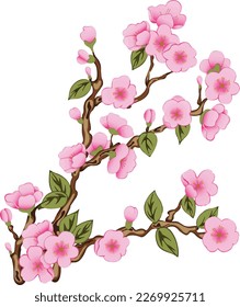 Cherry Blossom Branch, peach blossom clipart transparent, pink blossom