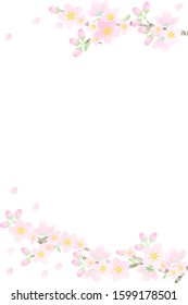 Cherry blossom with branch postcard size.
Vertical
