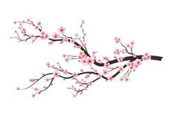 Cherry Blossom Branch With Sakura Flower. Sakura On White Background. Watercolor Cherry Bud. Cherry Blossom Flower Blooming Vector. Pink Sakura Flower Background. Watercolor Cherry Blossom Vector.