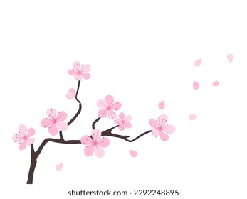 Rama de flor de cerezo Flor de sakura y pétalos voladores aislados en ilustración vectorial de fondo blanco.