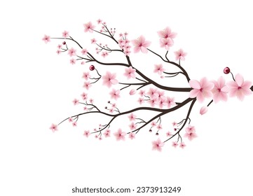 Cherry blossom branch with sakura flower. Pink sakura flower on white background. Cherry blossom bud. Cherry blossom flower blooming vector. Cherry blossom branch with sakura flower.