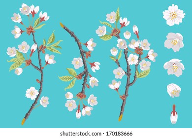 Cherry Blossom Branch set