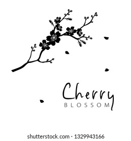 Cherry Blossom Branch Silhouette Illustration