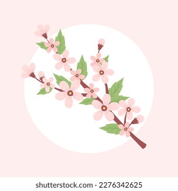 Cherry blossom branch. Spring vector illustration in a circular shape, card design