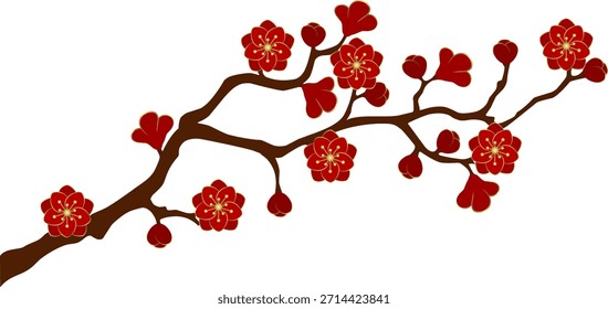 cherry blossom branch. tree branches with sakura flower vector