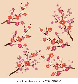 Cherry blossom branch vector illustration